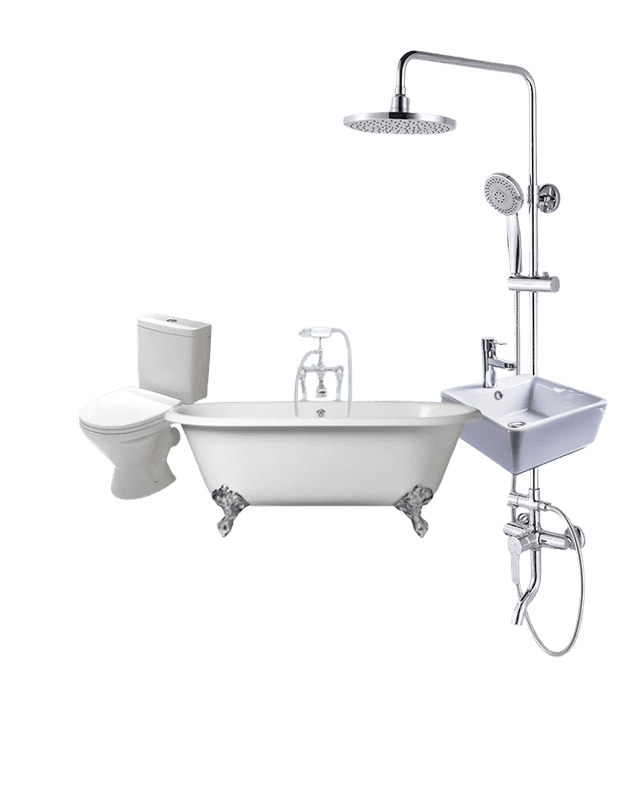 Toilet Cleaning