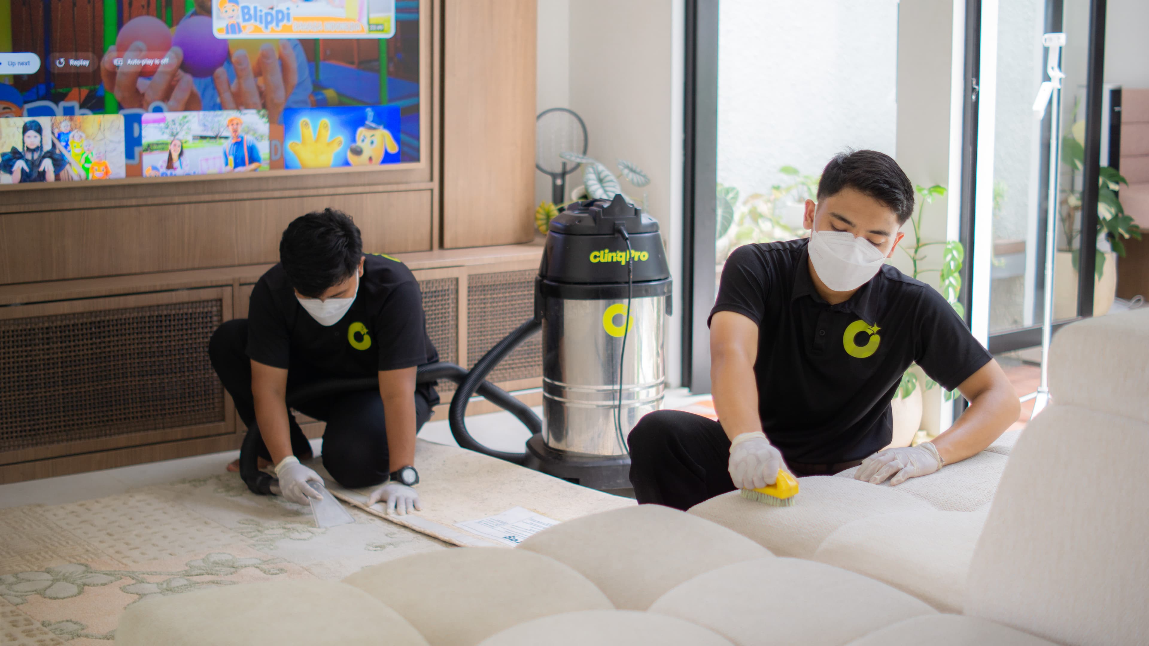 Premium professional sofa and mattress cleaning service using deep extraction technology for residential and commercial